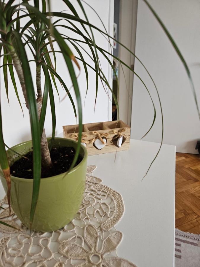 Cosy Apartment In The Heart Of סקופיה מראה חיצוני תמונה